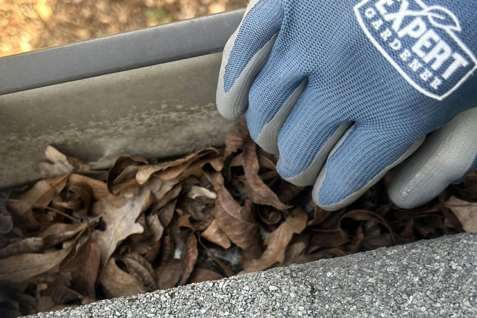 Gutter Cleaning Oak Park