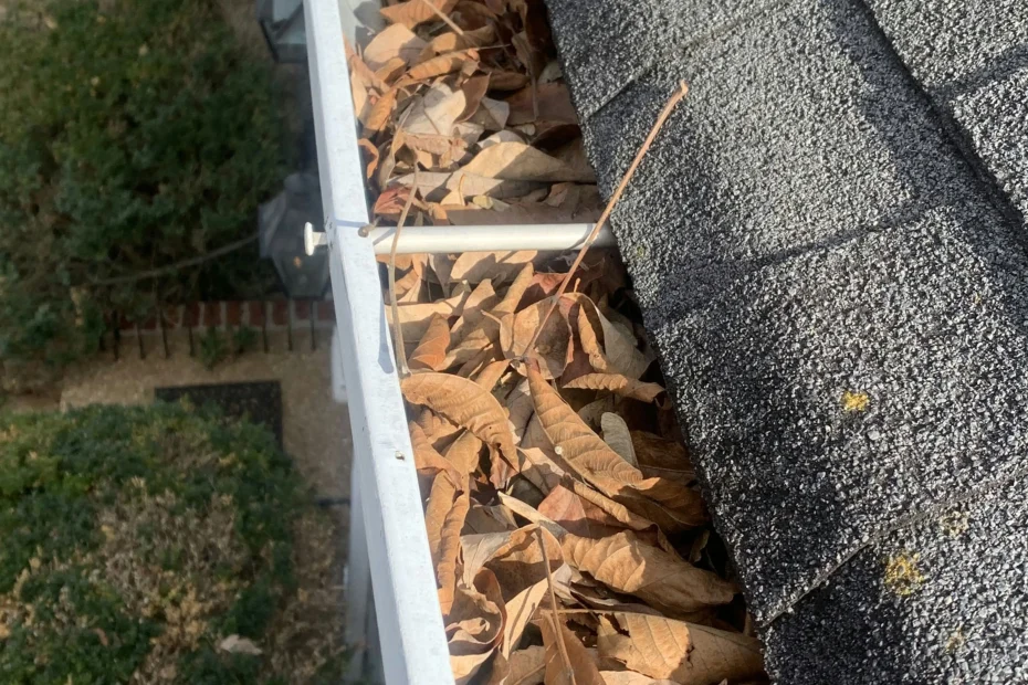 Gutter Cleaning Oak Park