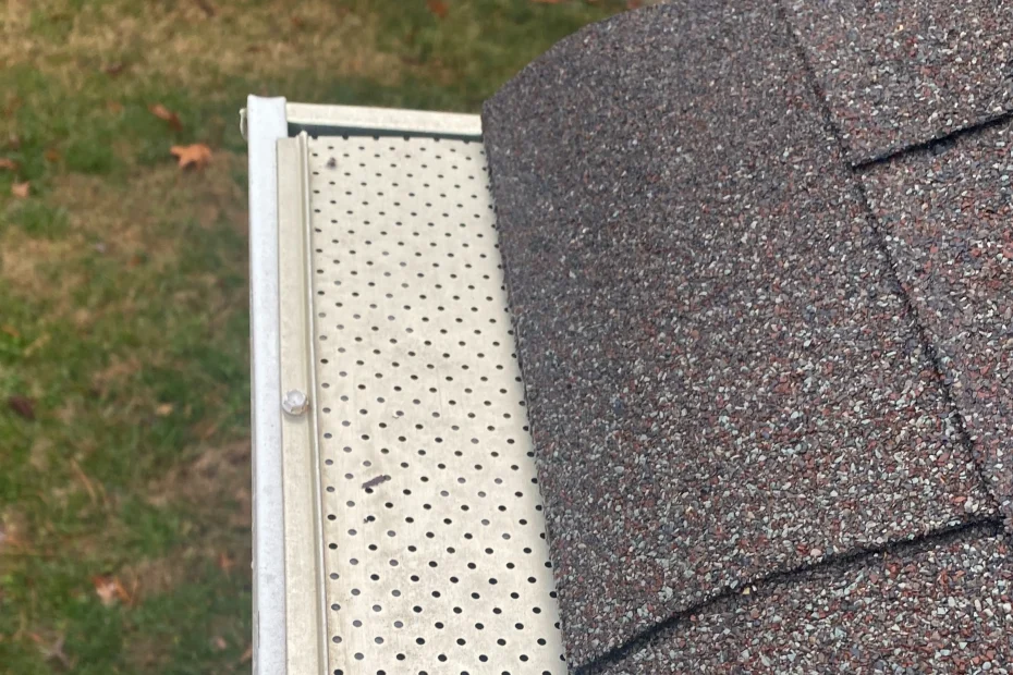 Gutter Cleaning Oak Park